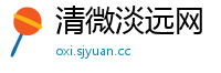 清微淡远网